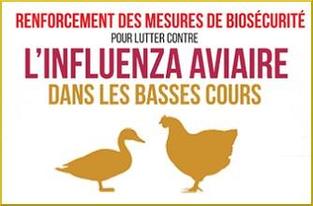 Renforcement des mesures de biosécurité pour lutter contre l'influenza  aviaire - Saint-Philbert-de-Bouaine